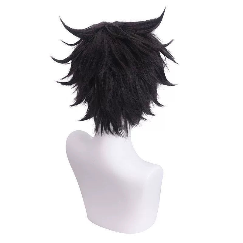 Naofumi Cosplay Peruecke Damen