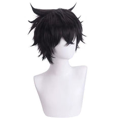 Naofumi Cosplay Peruecke Damen