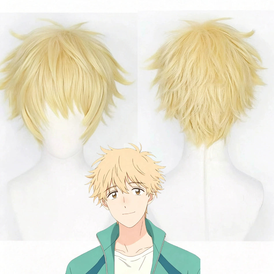 Shima Cosplay Peruecke Damen